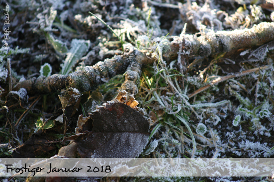 winter 2018-01 - Kopie